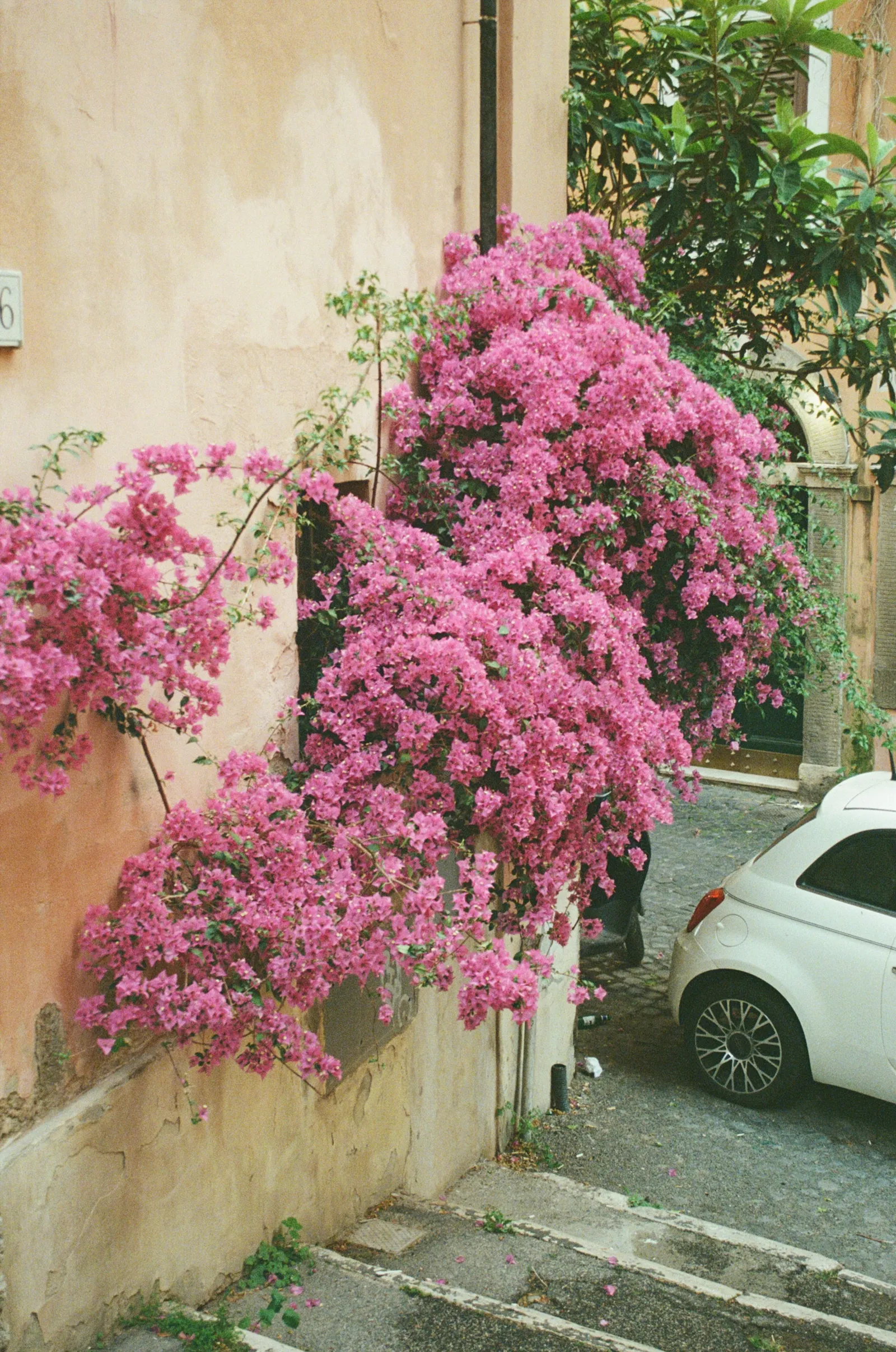 Travel film photograph print by Maggie Warner