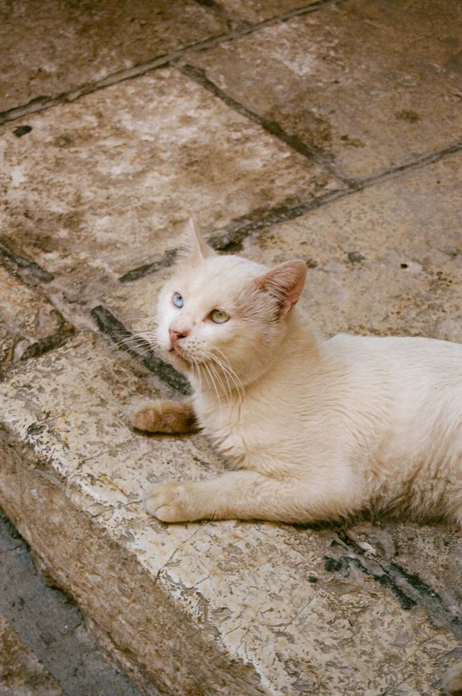 Travel film photograph print by Maggie Warner