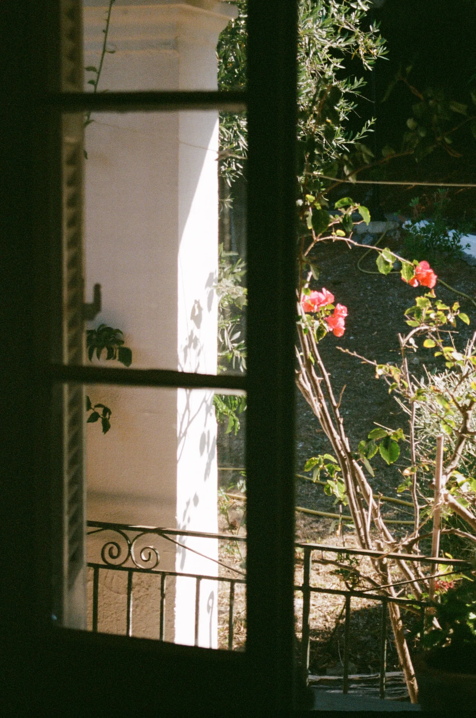 Travel film photograph print by Maggie Warner