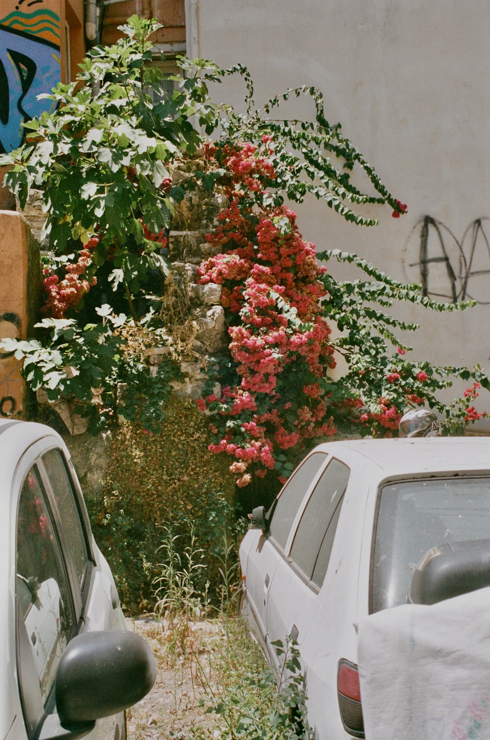 Travel film photograph print by Maggie Warner