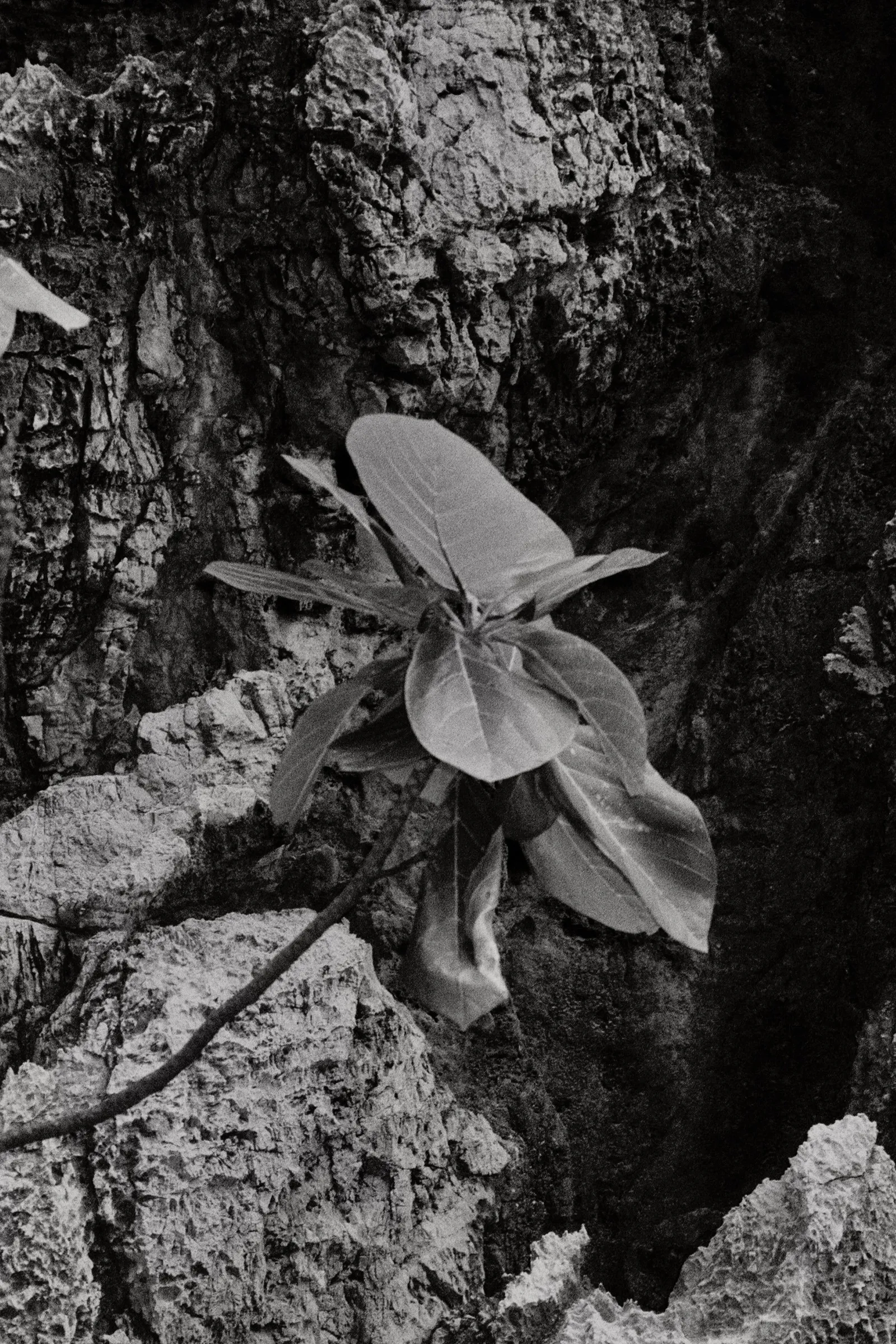 Travel film photograph print by Maggie Warner
