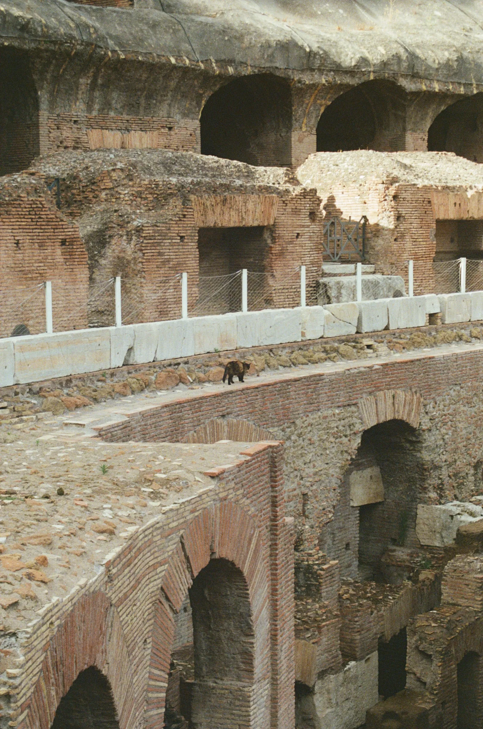 Travel film photograph print by Maggie Warner